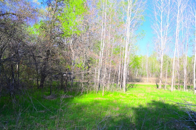 14 Oberon Loop, Moran Twp, MN 56438 - photo 9
