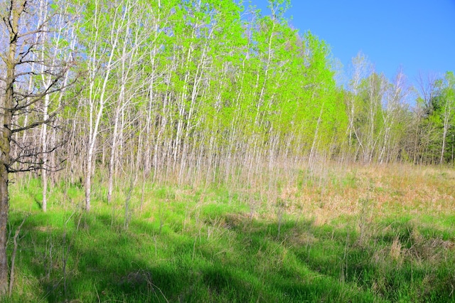 14 Oberon Loop, Moran Twp, MN 56438 - photo 14