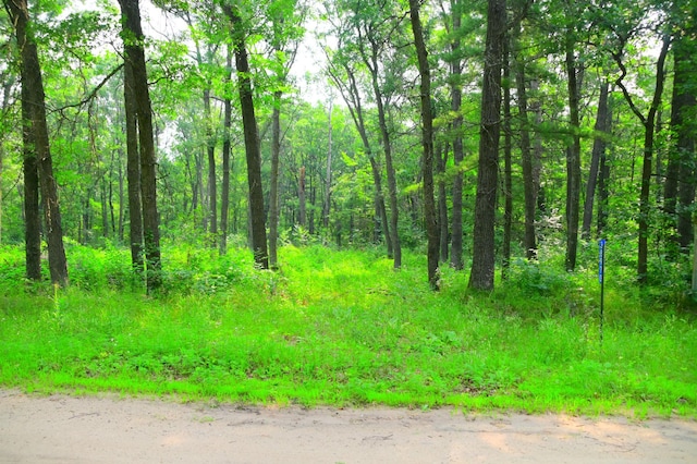 38970 Odin Ct, Moran Twp, MN 56438 - photo 1
