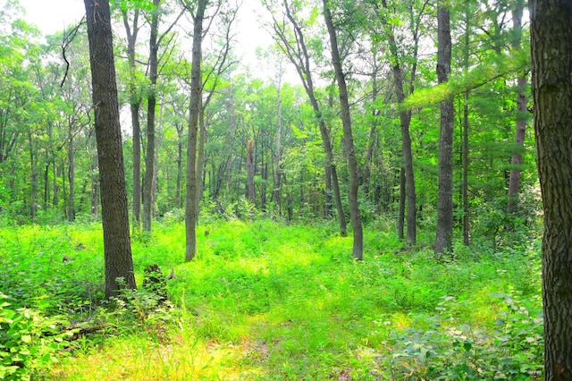 38970 Odin Ct, Moran Twp, MN 56438 - photo 2