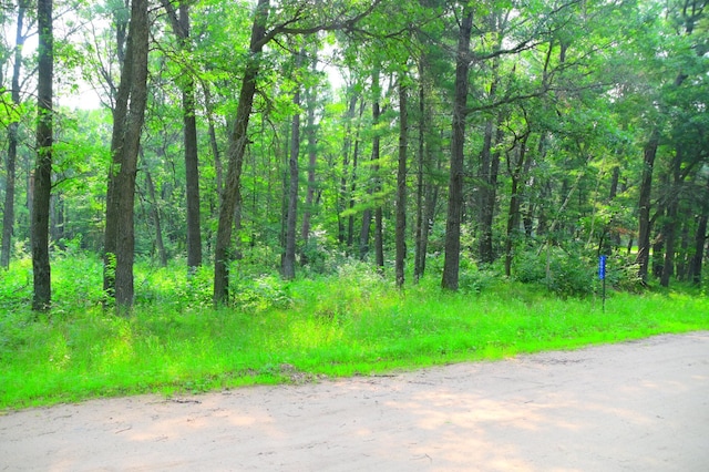 38970 Odin Ct, Moran Twp, MN 56438 - photo 7