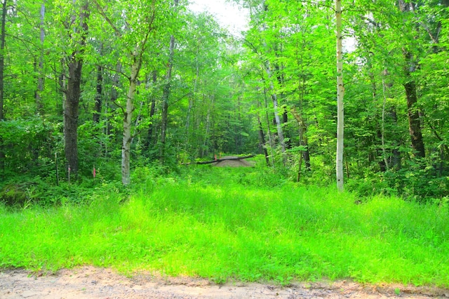 TBD Ode Circle, Moran Twp, MN 56438 - photo 2