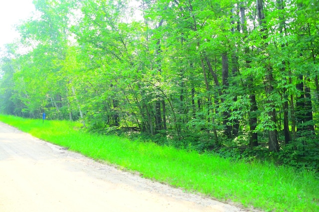 TBD Ode Circle, Moran Twp, MN 56438 - photo 4