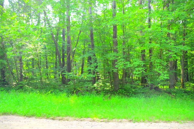 TBD Ode Circle, Moran Twp, MN 56438 - photo 6