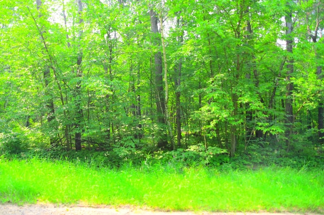 TBD Ode Circle, Moran Twp, MN 56438 - photo 7