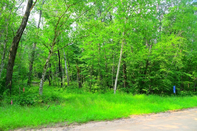 TBD Ode Circle, Moran Twp, MN 56438 - photo 8