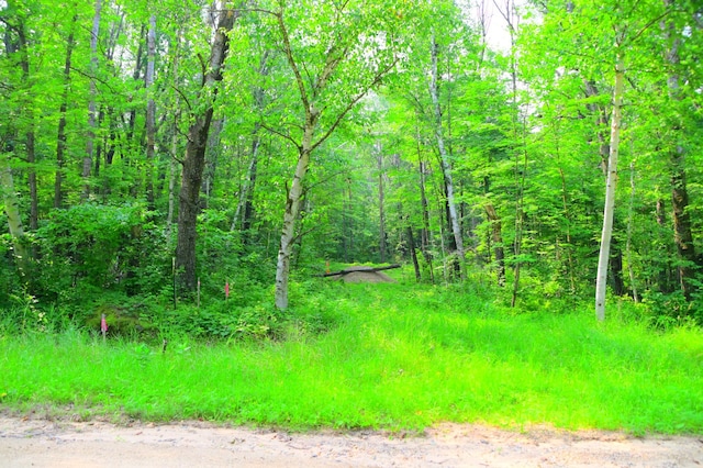 TBD Ode Circle, Moran Twp, MN 56438 - photo 9