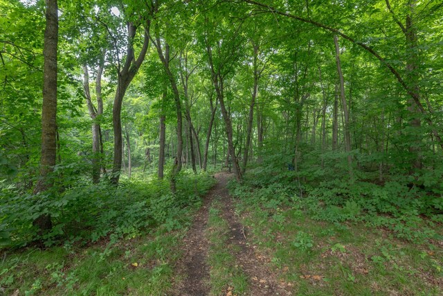27804 Killian Rd, Rochert, MN 56578 - photo 8