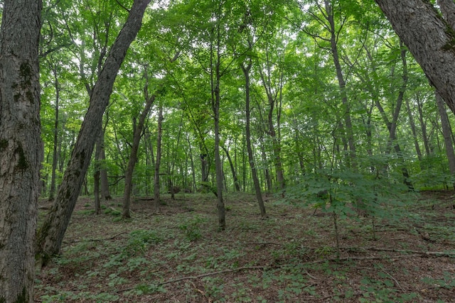 27804 Killian Rd, Rochert, MN 56578 - photo 9