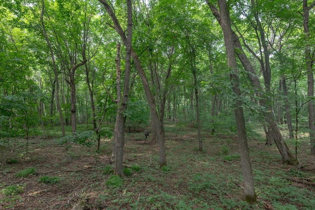 27804 Killian Rd, Rochert, MN 56578 - photo 10