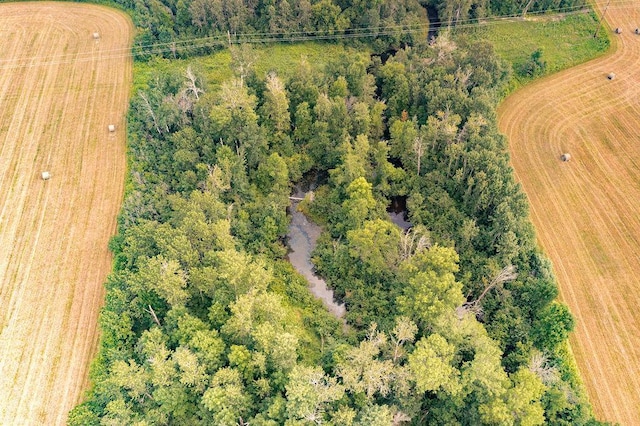 3951 Point Rd, Skelton Twp, MN 55707 - photo 22