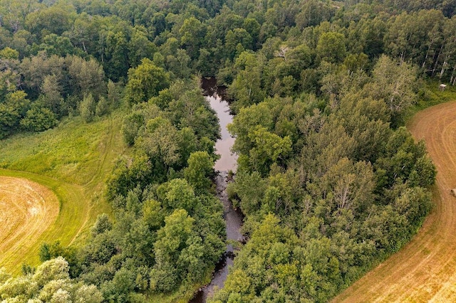 3951 Point Rd, Skelton Twp, MN 55707 - photo 25