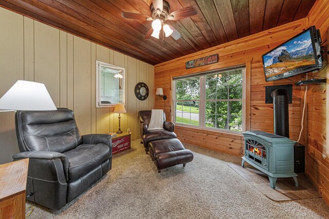 1010 11th Ave NE, Faribault, MN 55021 - photo 24