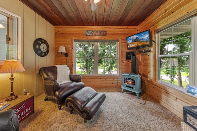 1010 11th Ave NE, Faribault, MN 55021 - photo 25