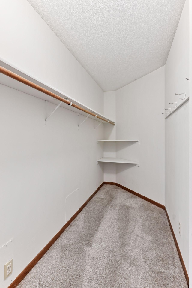 439 Ridge Ln, Chaska, MN 55318 - photo 22