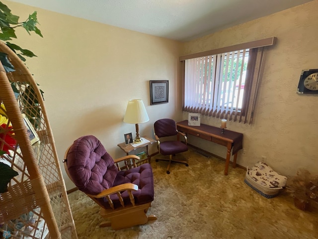 1119 Main St, Breckenridge, MN 56520 - photo 32