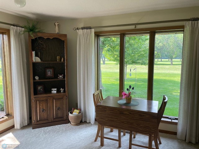 1119 Main St, Breckenridge, MN 56520 - photo 43