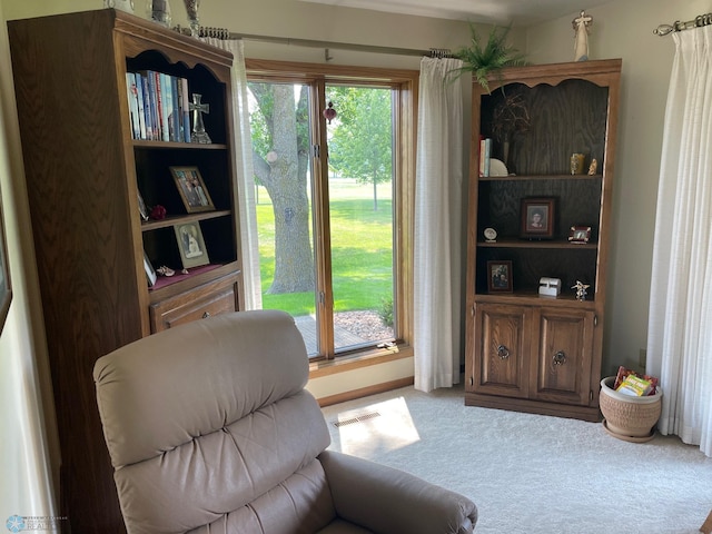 1119 Main St, Breckenridge, MN 56520 - photo 44