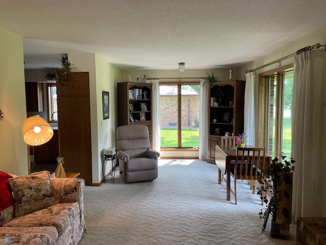 1119 Main St, Breckenridge, MN 56520 - photo 45