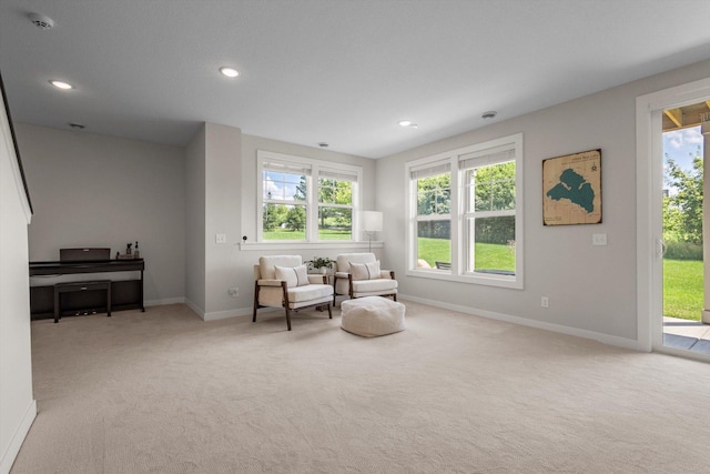 719 Mount Curv, Hudson, WI 54016 - photo 43