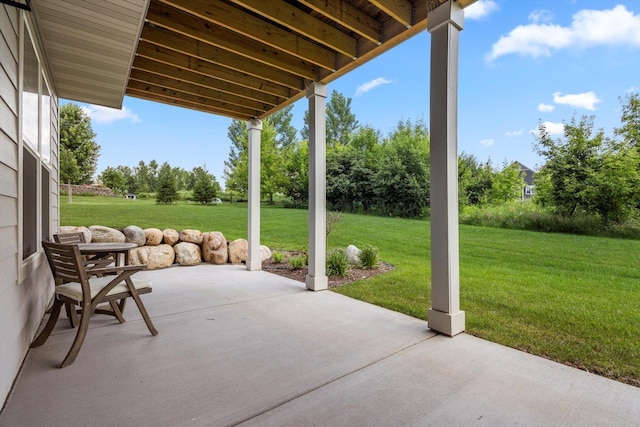 719 Mount Curv, Hudson, WI 54016 - photo 46