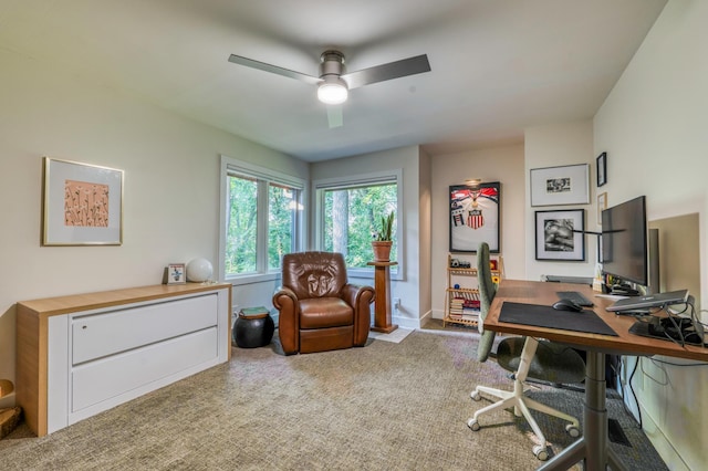 11210 36th Pl N, Plymouth, MN 55441 - photo 37