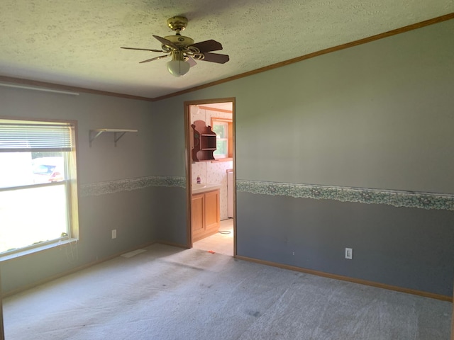 1445 1st Ave SW, Oronoco Twp, MN 55960 - photo 15