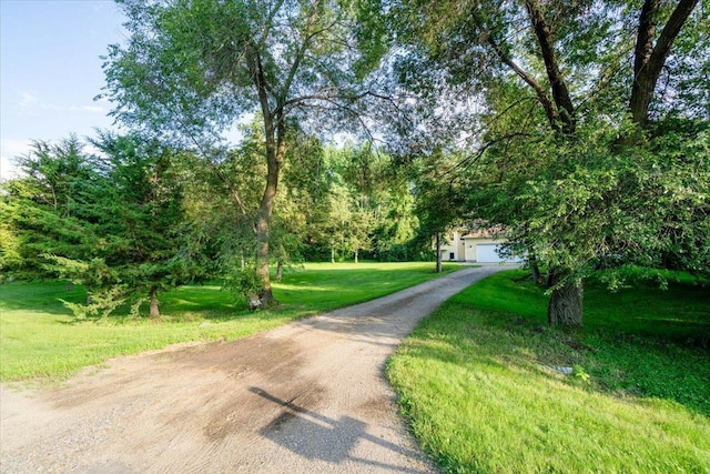 10059 101st St NE, Otsego, MN 55362 - photo 21