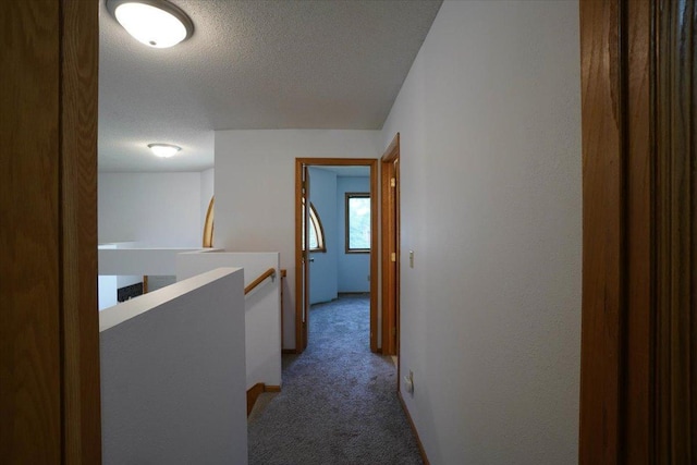 10059 101st St NE, Otsego, MN 55362 - photo 65