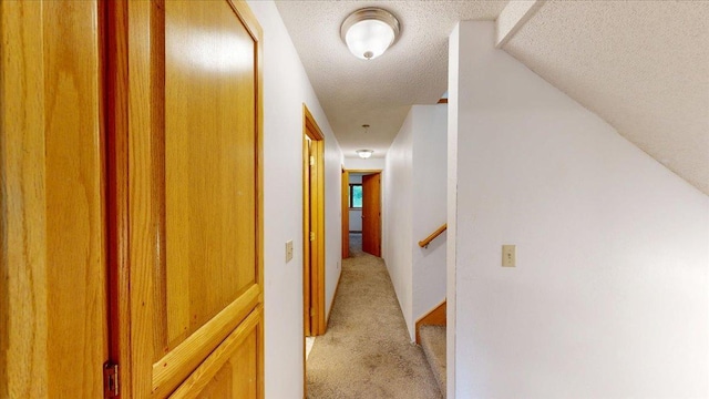 10059 101st St NE, Otsego, MN 55362 - photo 66