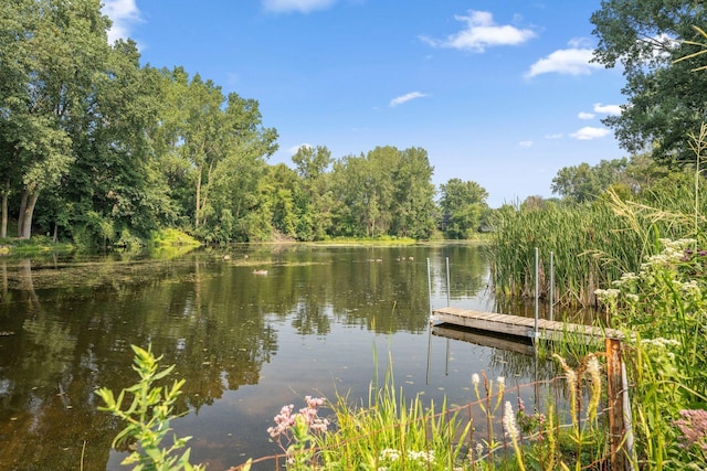 4265 Nybro Ln, Eagan, MN 55123 - photo 41