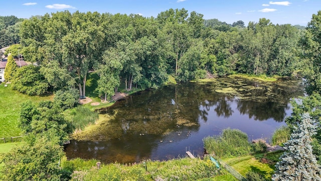 4265 Nybro Ln, Eagan, MN 55123 - photo 42