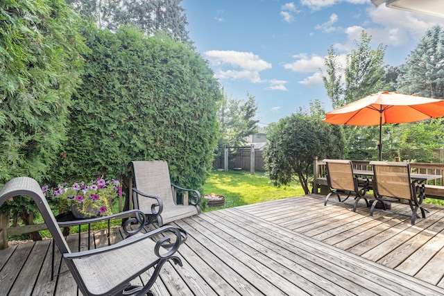 42 Nelson St, Saint Paul, MN 55119 - photo 23