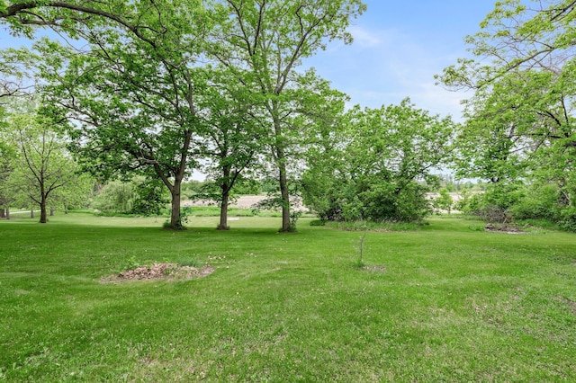 31513 Naples St NE, Isanti Twp, MN 55008 - photo 9