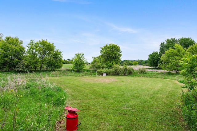 31513 Naples St NE, Isanti Twp, MN 55008 - photo 10