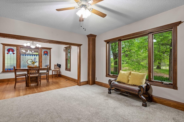 31513 Naples St NE, Isanti Twp, MN 55008 - photo 20