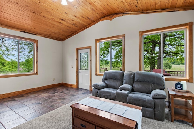 31513 Naples St NE, Isanti Twp, MN 55008 - photo 23