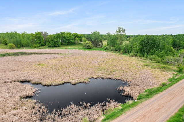 31513 Naples St NE, Isanti Twp, MN 55008 - photo 48
