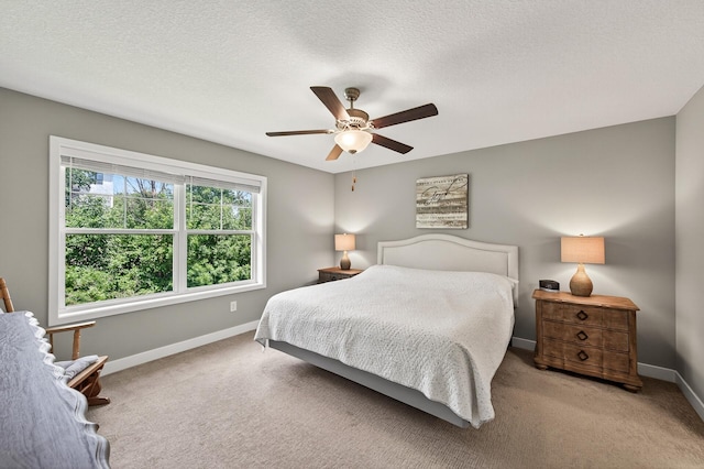 19488 Tamarack Pt, Rogers, MN 55311 - photo 9