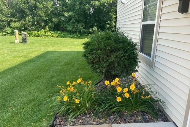 19488 Tamarack Pt, Rogers, MN 55311 - photo 22