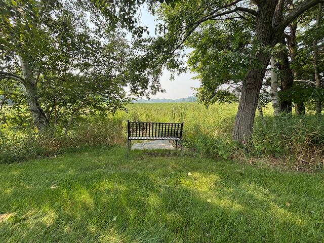 17742 Oakland Dr NE, Ham Lake, MN 55304 - photo 6