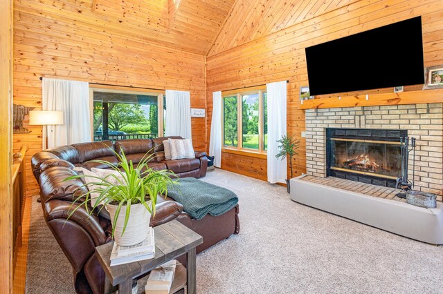 30739 241st Ave, Le Sueur, MN 56058 - photo 8
