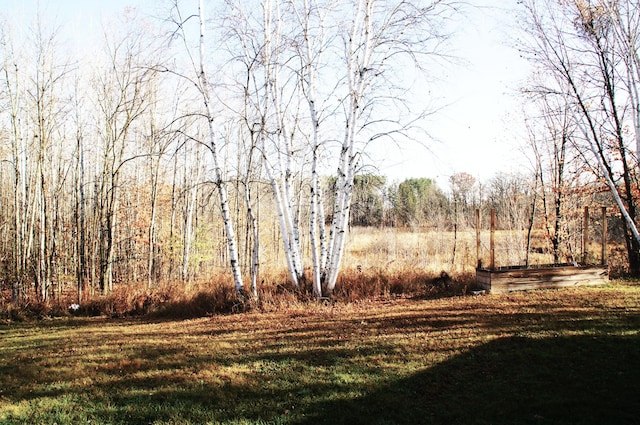 32916 State Highway 210, Fleming Twp, MN 56431 - photo 3