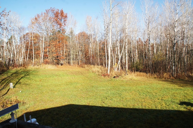 32916 State Highway 210, Fleming Twp, MN 56431 - photo 4