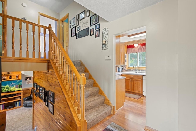 6551 132nd St N, Hugo, MN 55110 - photo 22