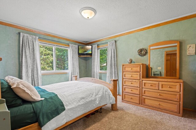 6551 132nd St N, Hugo, MN 55110 - photo 23