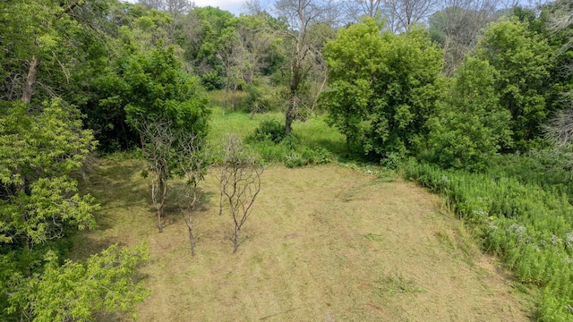 128 Peavey Ln, Wayzata, MN 55391 - photo 5