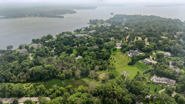 128 Peavey Ln, Wayzata, MN 55391 - photo 9