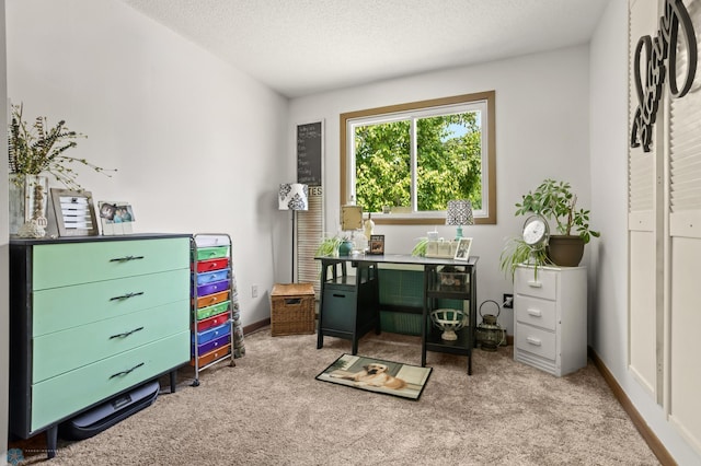 1808 25th Ave S, Fargo, ND 58103 - photo 27