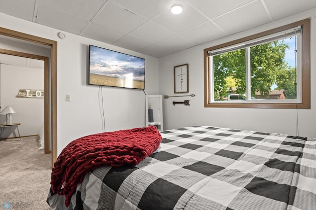 1808 25th Ave S, Fargo, ND 58103 - photo 39